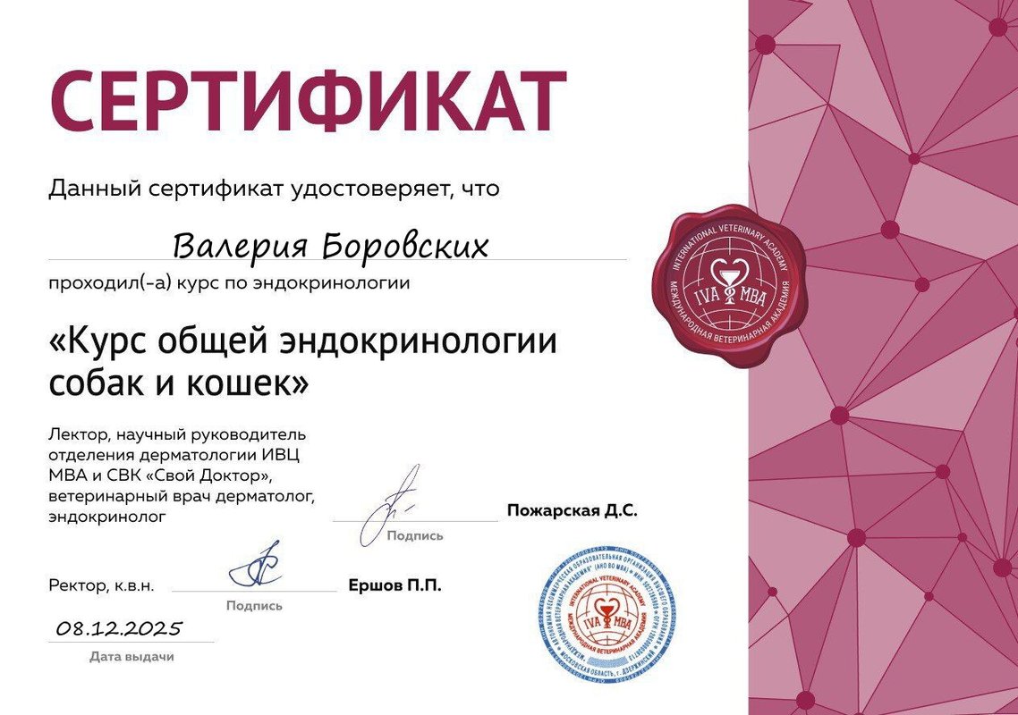 Документ или сертификат
