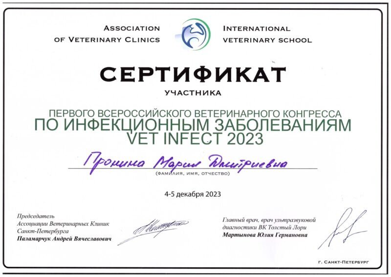 Документ или сертификат