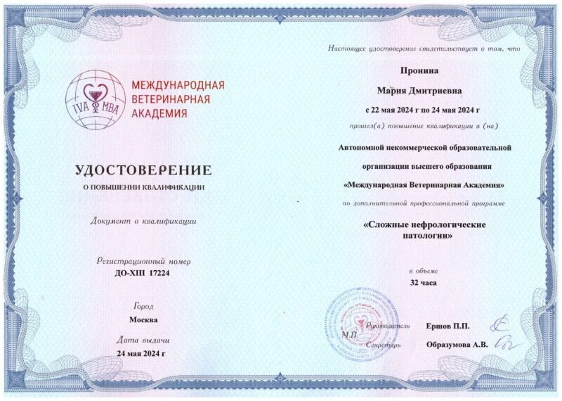 Документ или сертификат
