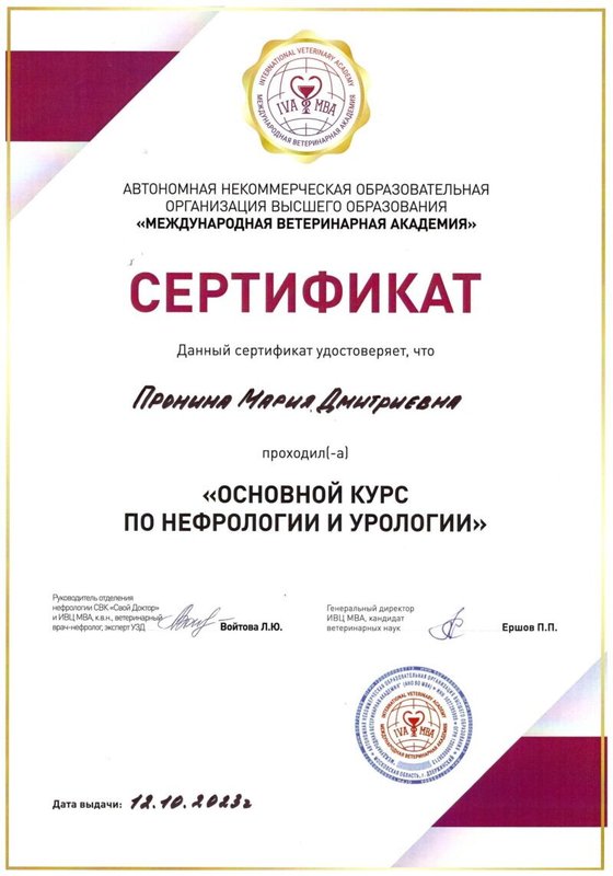 Документ или сертификат