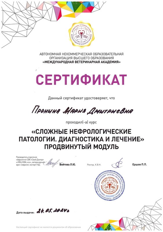 Документ или сертификат