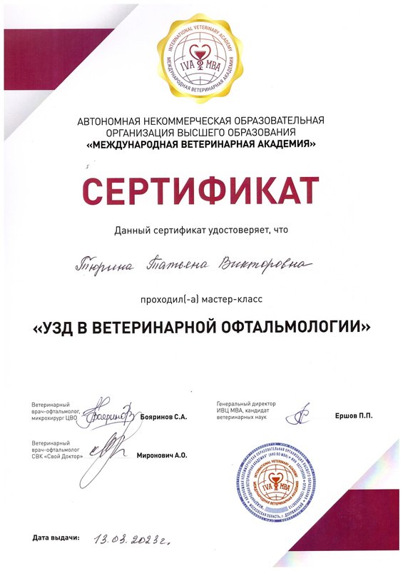 Документ или сертификат