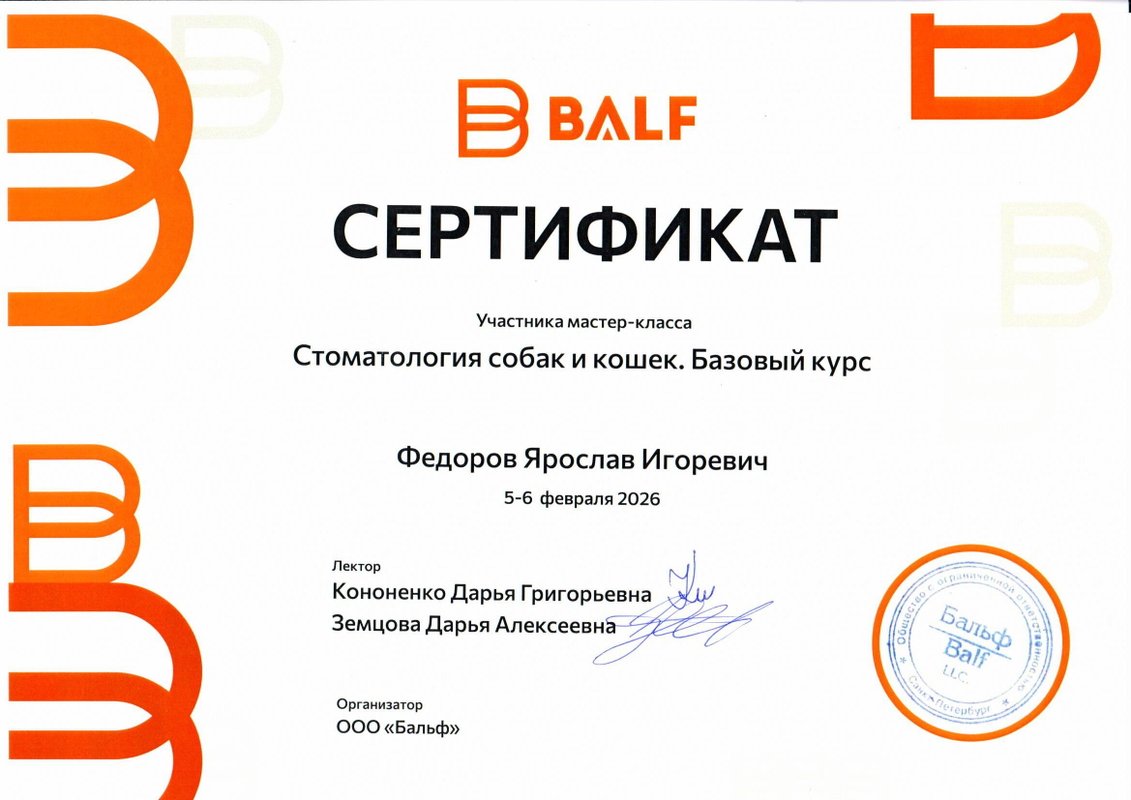 Документ или сертификат