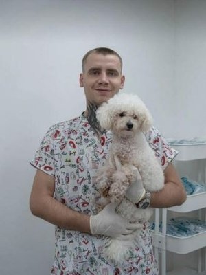 Фото врача Скулов Александр Олегович