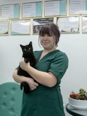 Фото врача Титова Елена Александровна
