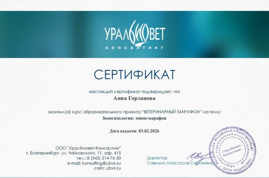 Документ или сертификат