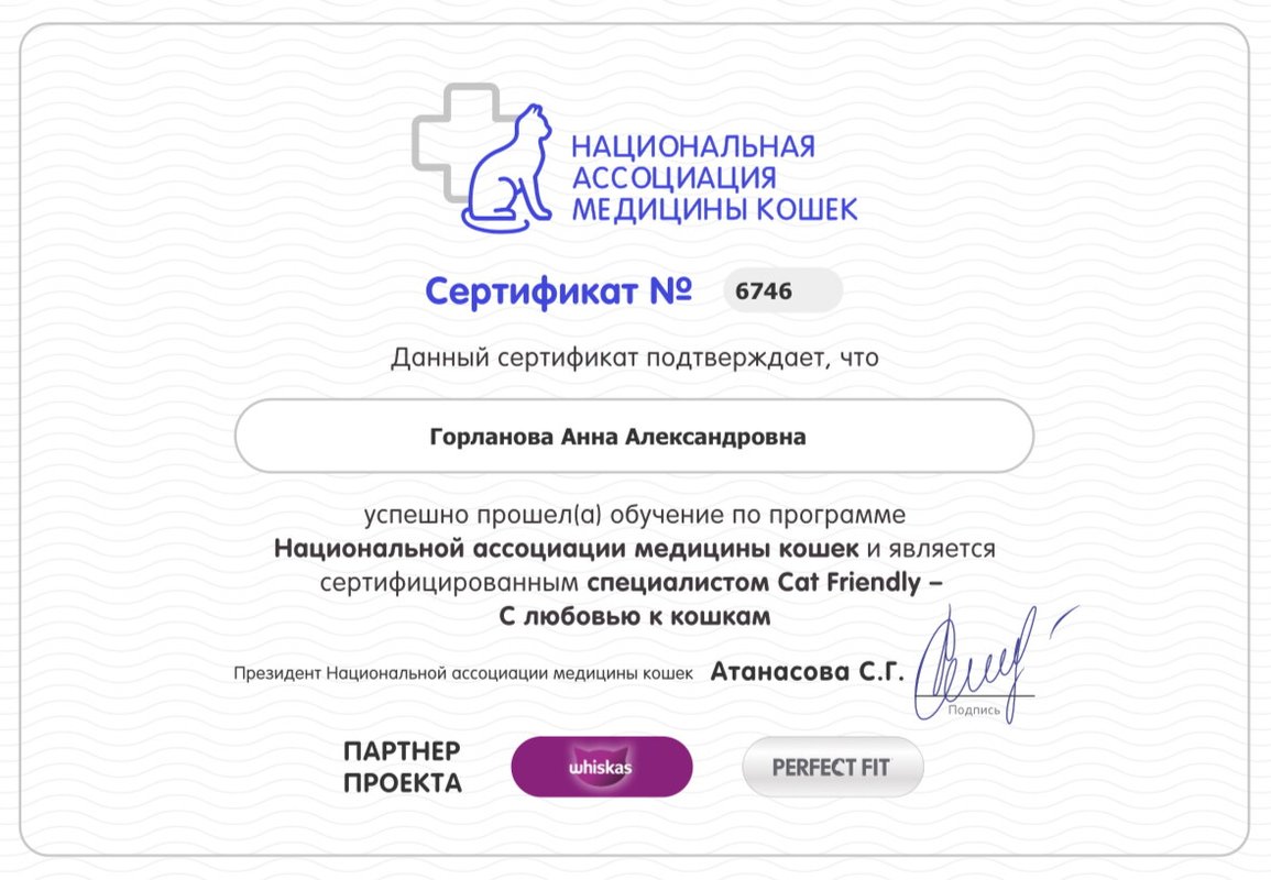 Документ или сертификат