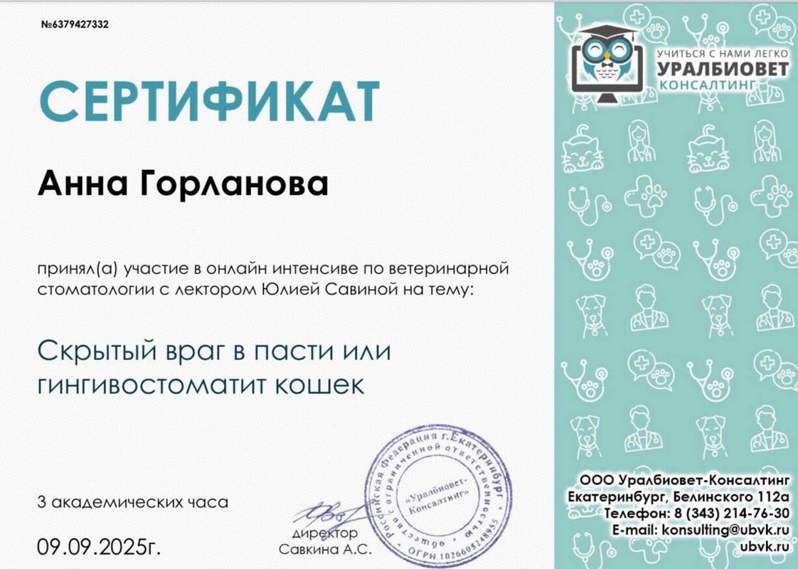 Документ или сертификат