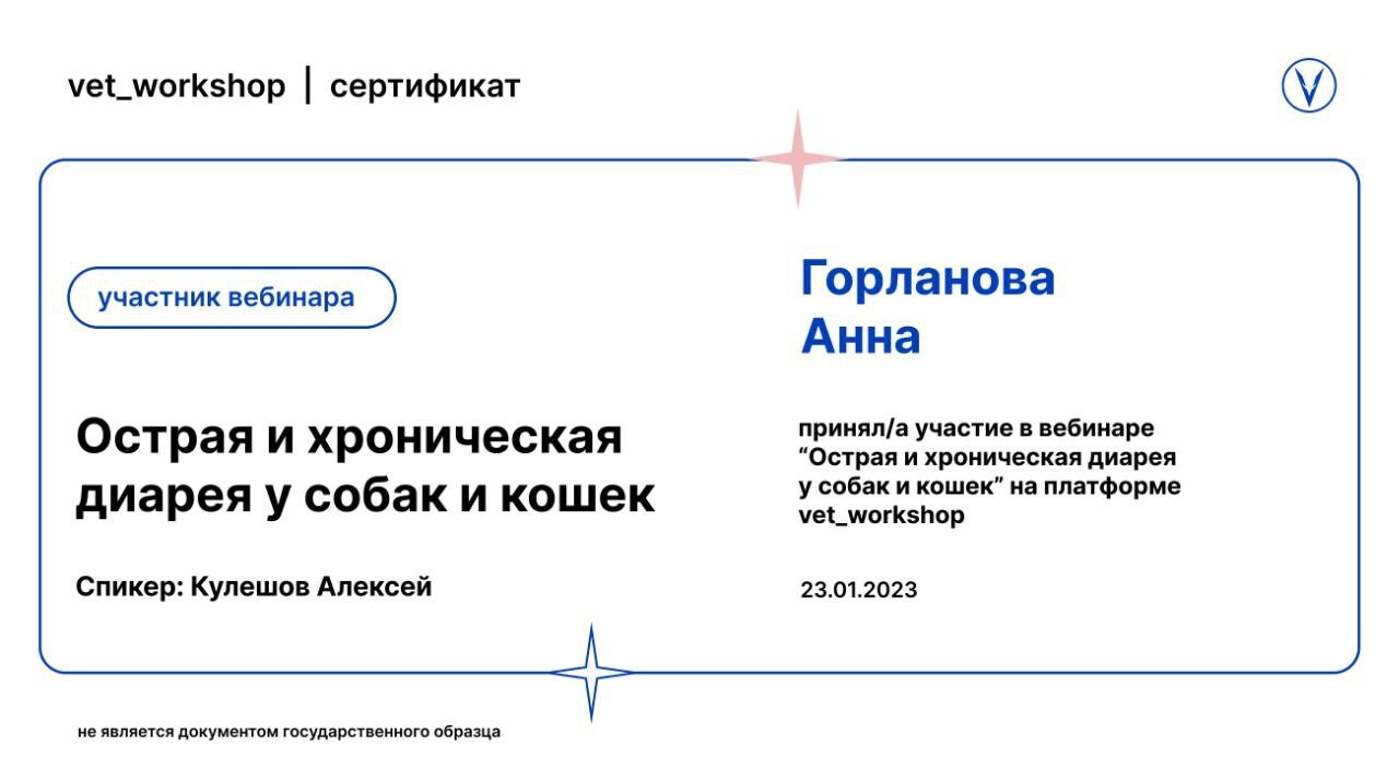 Документ или сертификат