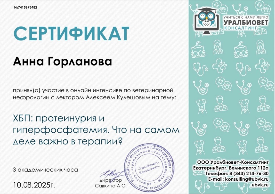 Документ или сертификат