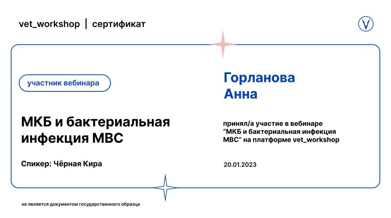 Документ или сертификат