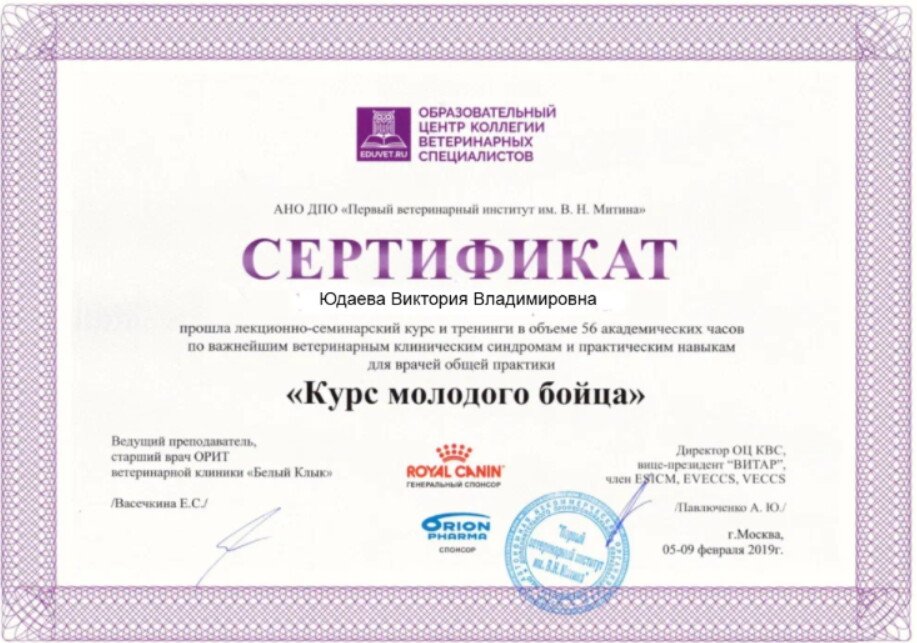 Документ или сертификат