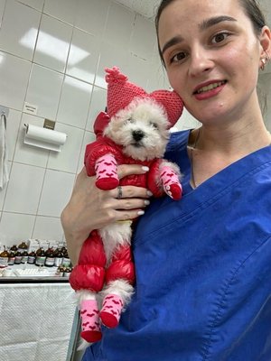 Фото врача Живанкина Дарья Андреевна
