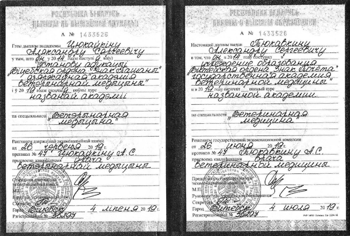 Документ или сертификат