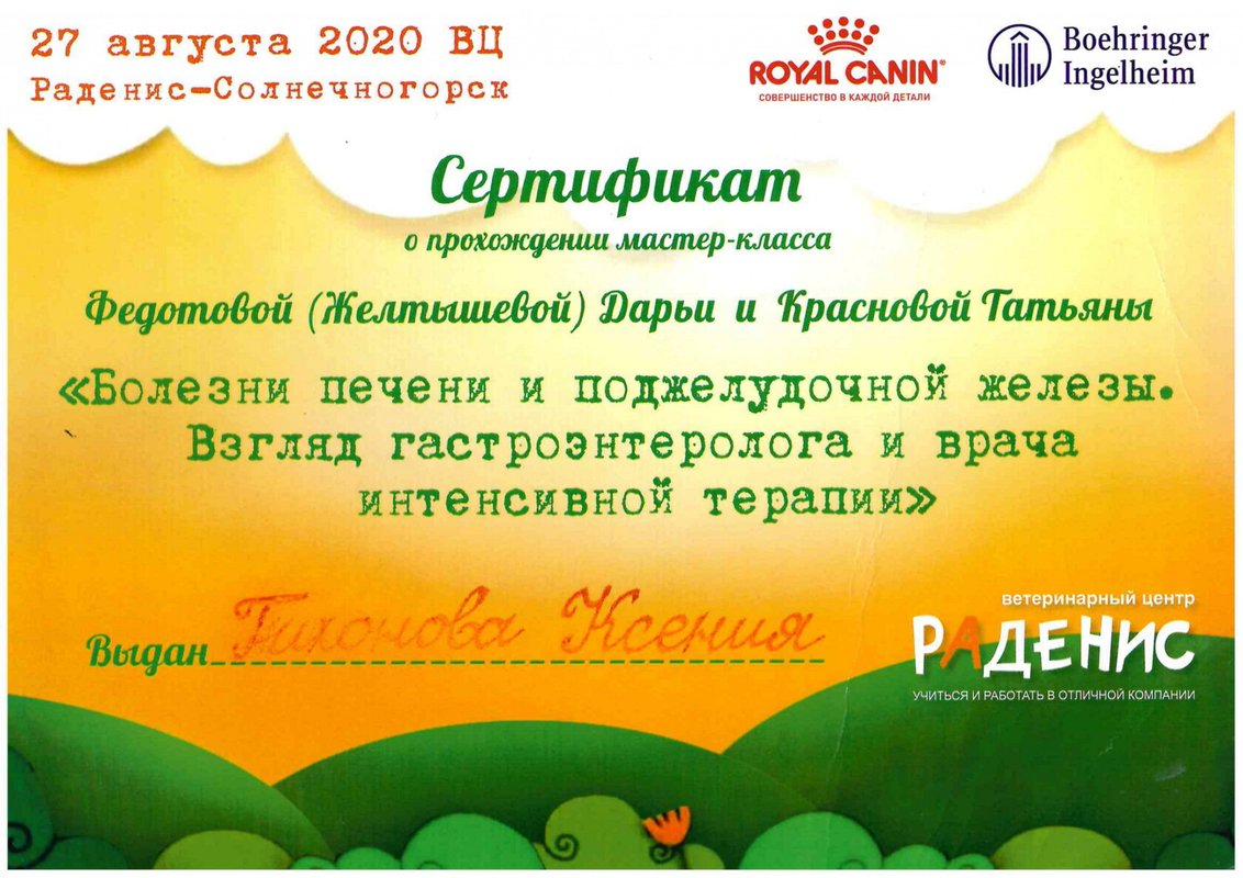Документ или сертификат