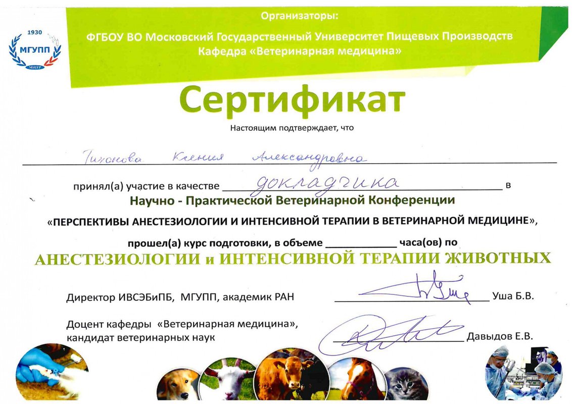 Документ или сертификат