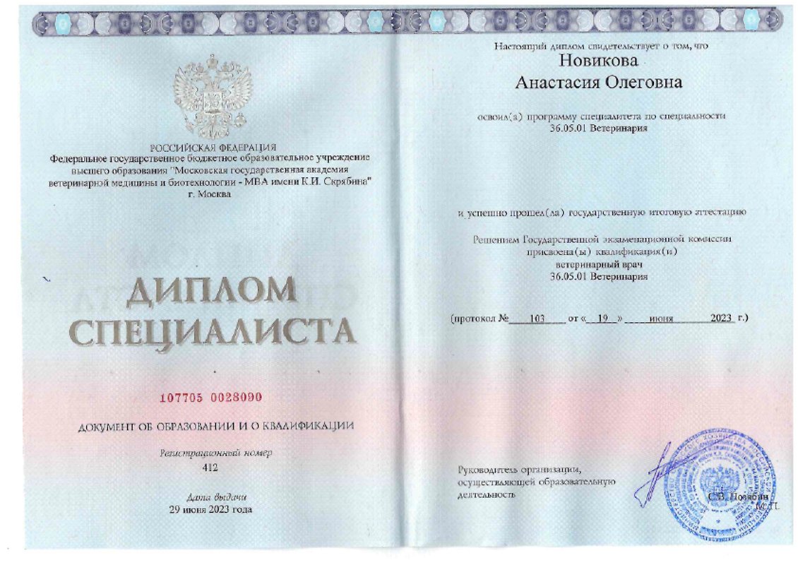 Документ или сертификат