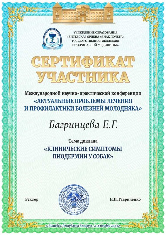 Документ или сертификат