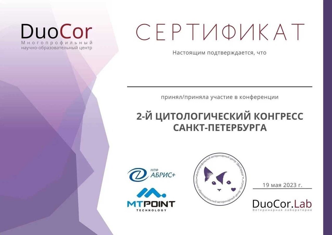 Документ или сертификат
