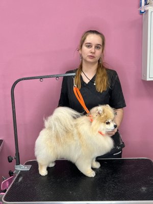 Фото врача Шлякова Анастасия Александровна