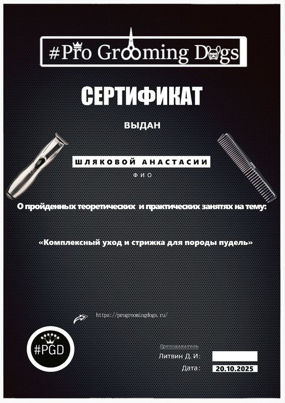 Документ или сертификат