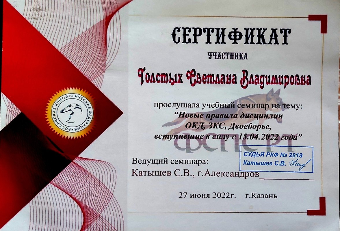 Документ или сертификат