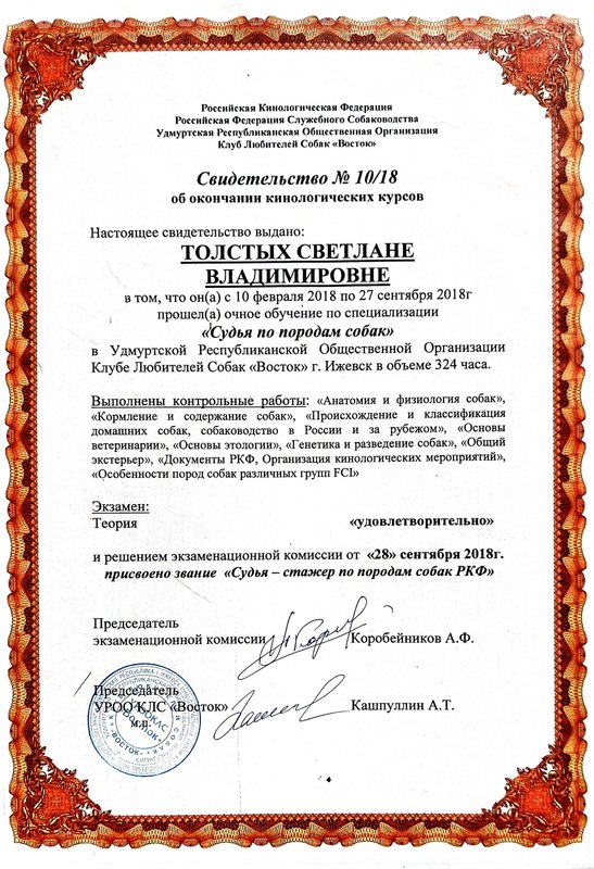 Документ или сертификат