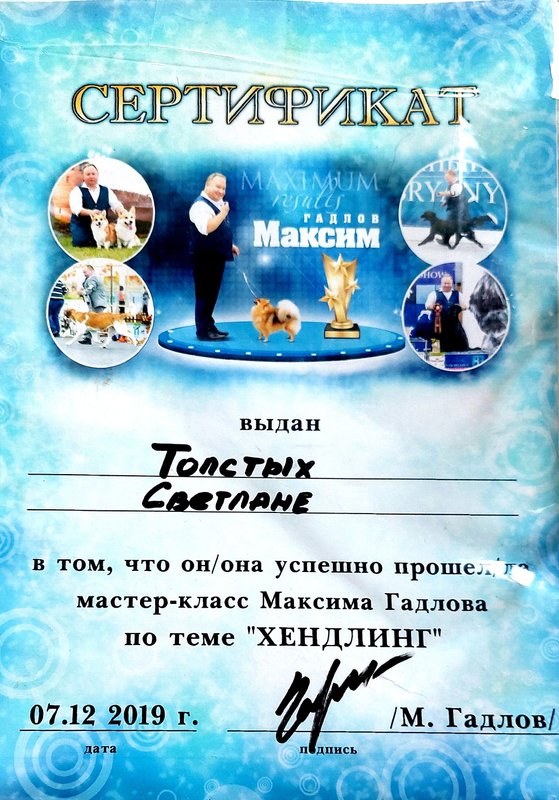 Документ или сертификат