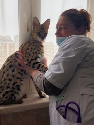 Фото врача Бритова Анжелика Валериевна