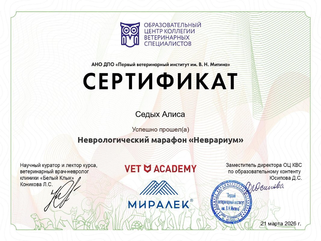 Документ или сертификат