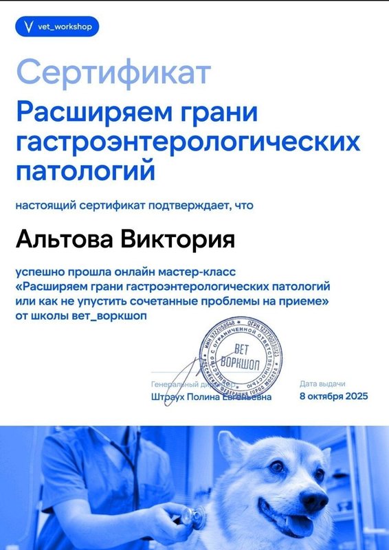 Документ или сертификат