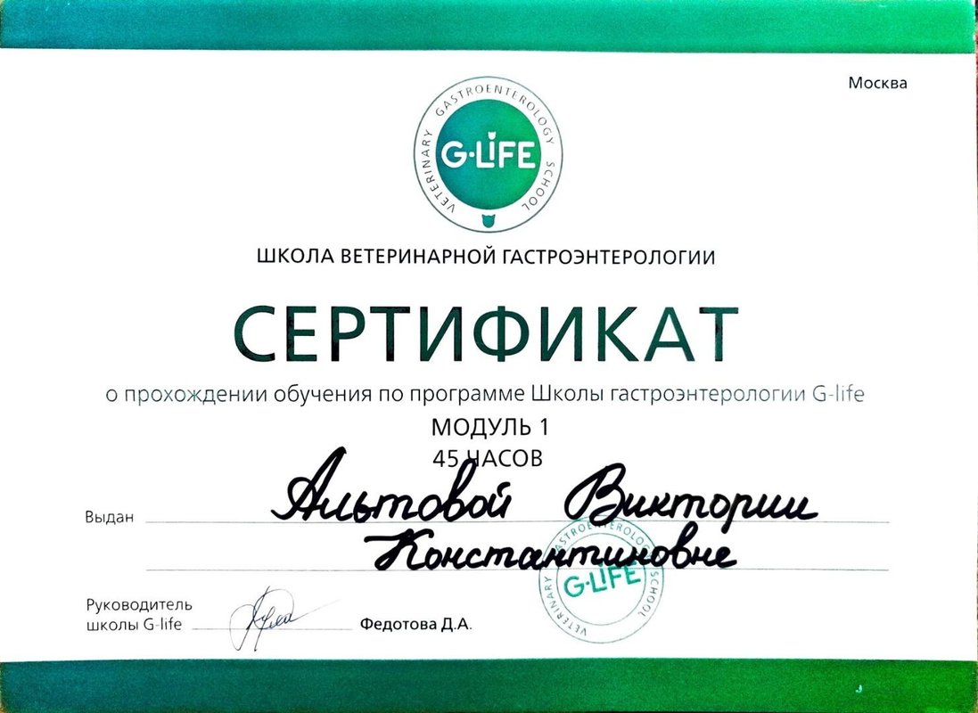 Документ или сертификат