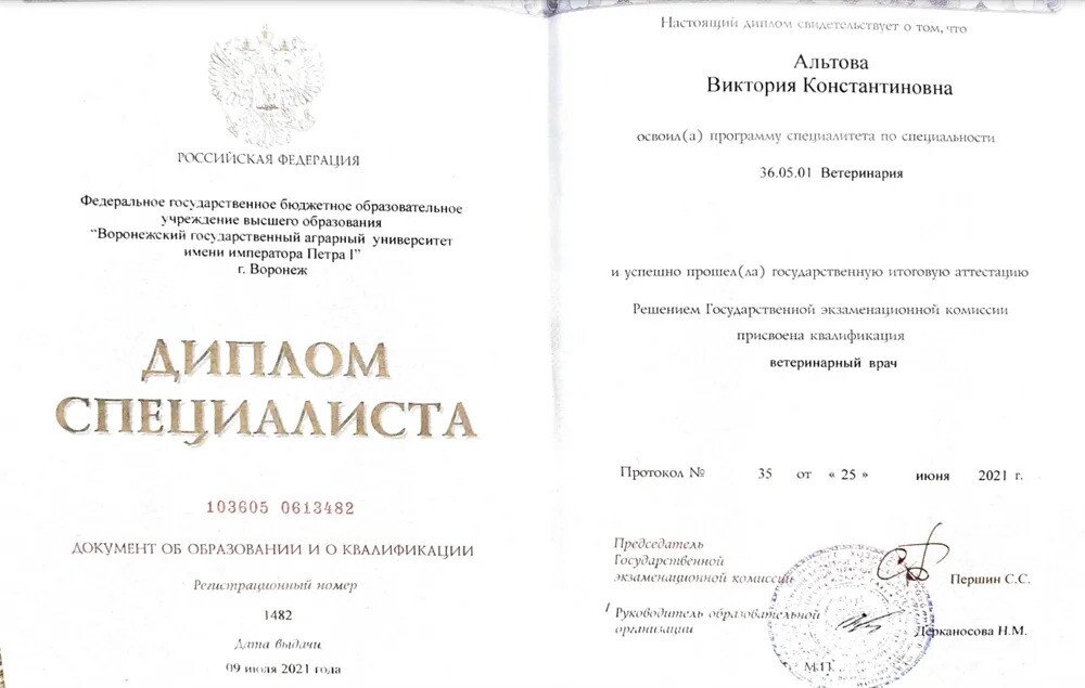Документ или сертификат