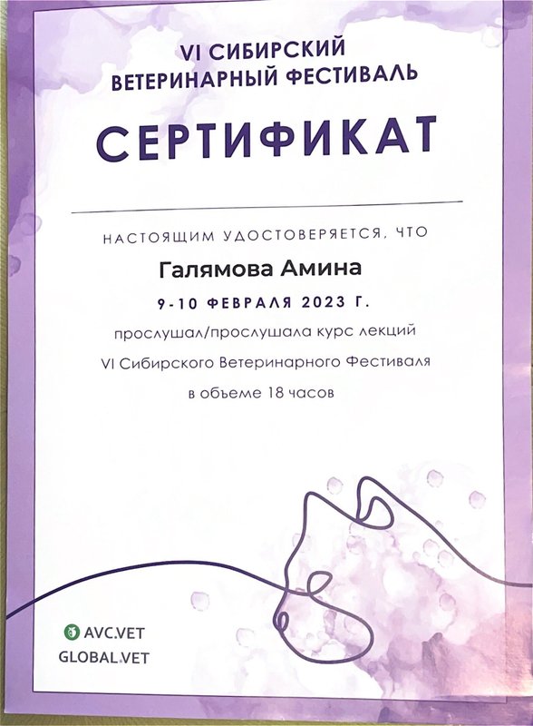 Документ или сертификат