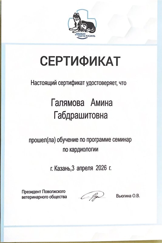 Документ или сертификат