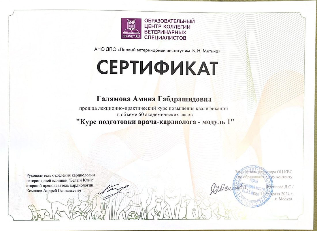 Документ или сертификат