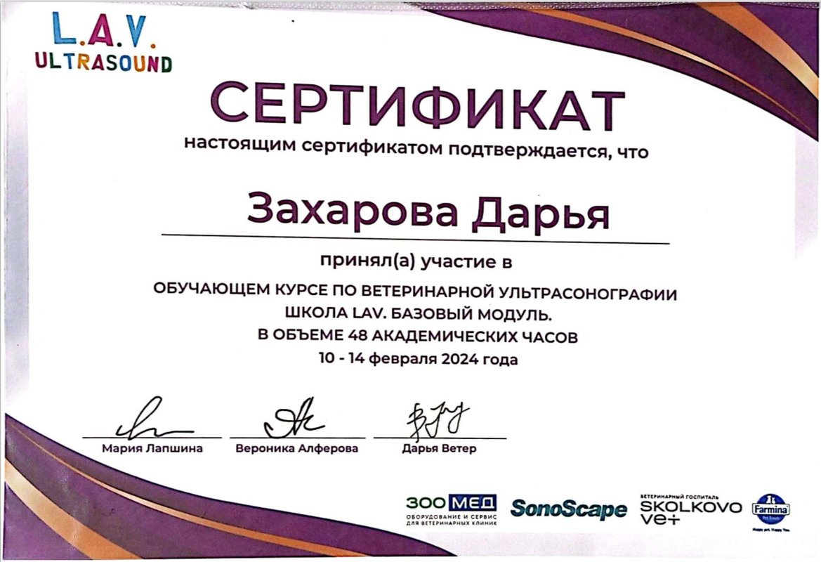 Документ или сертификат
