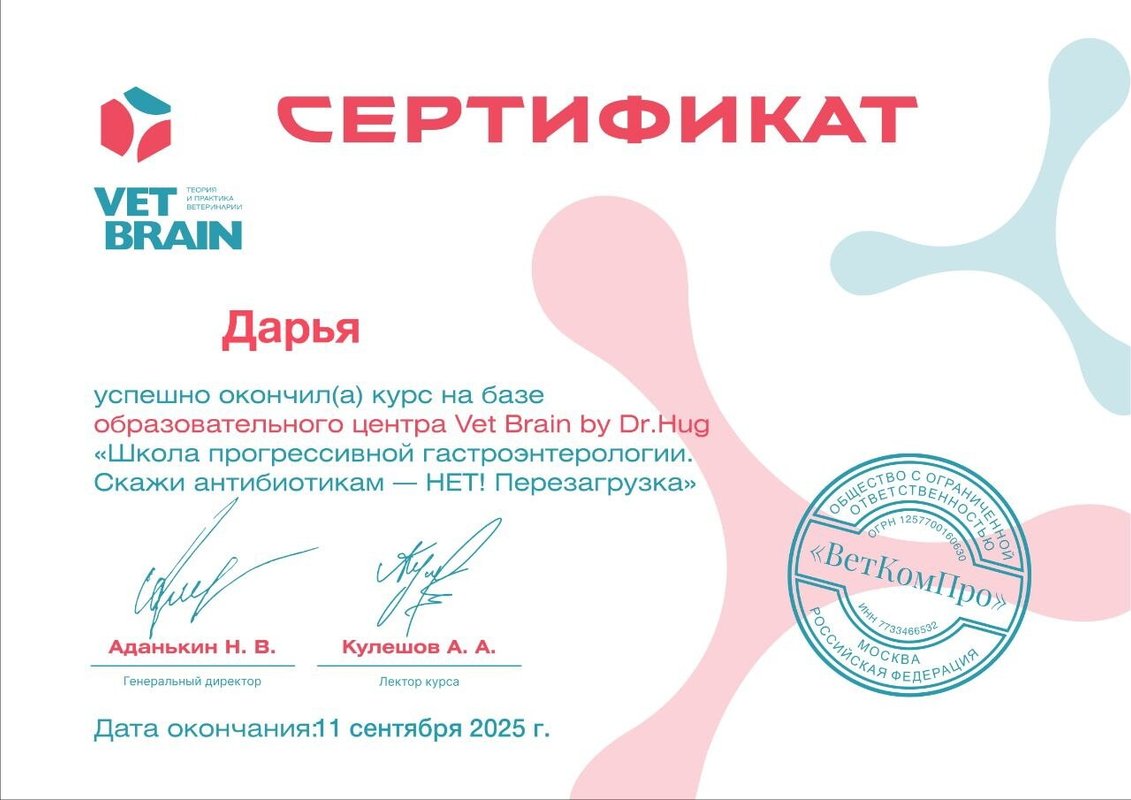 Документ или сертификат