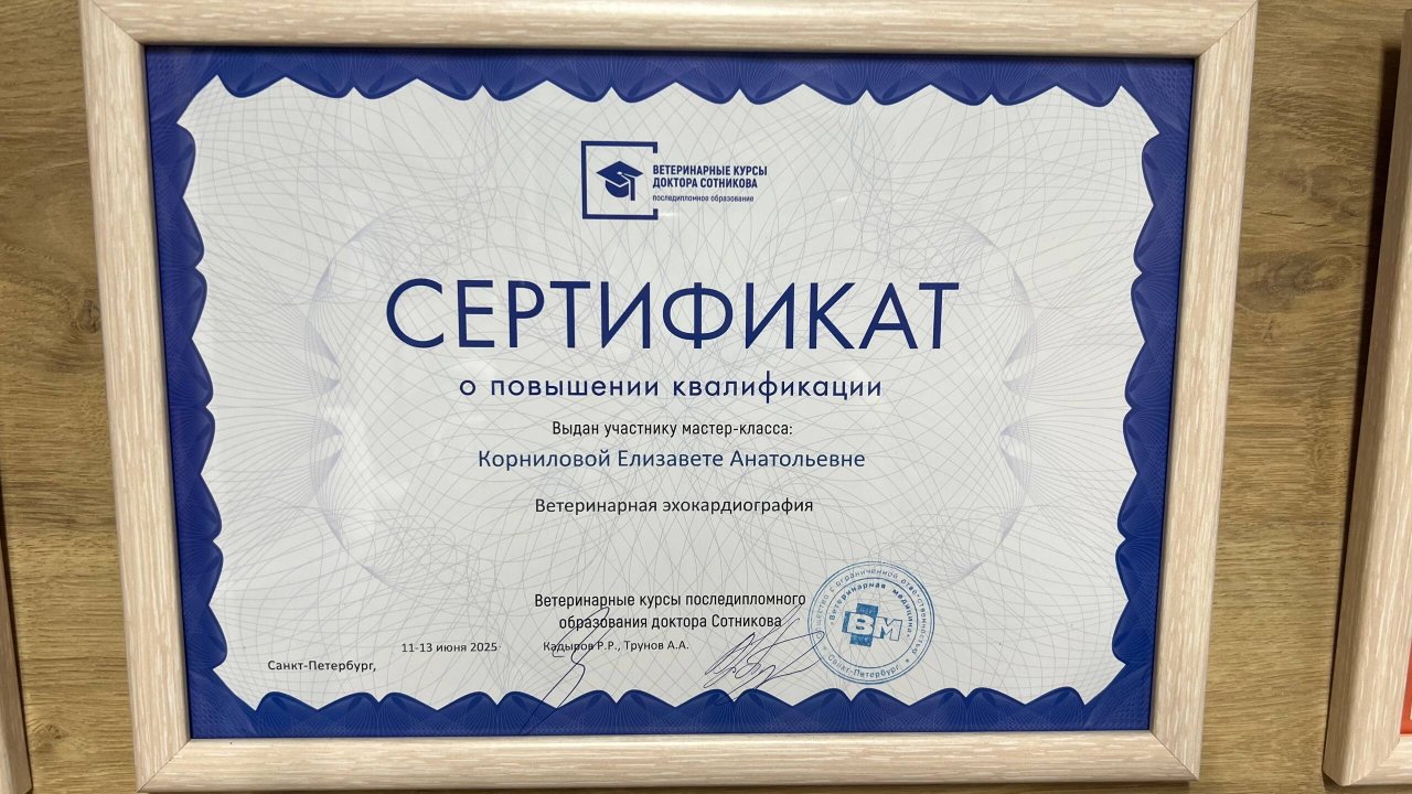 Документ или сертификат