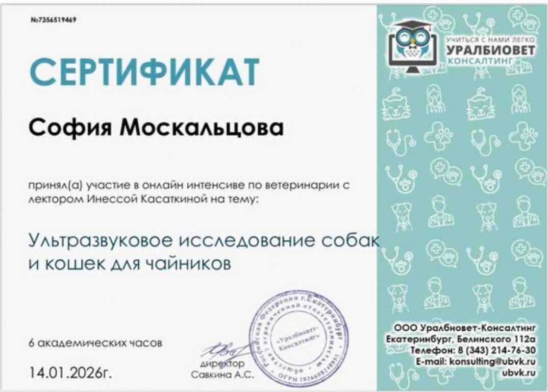 Документ или сертификат