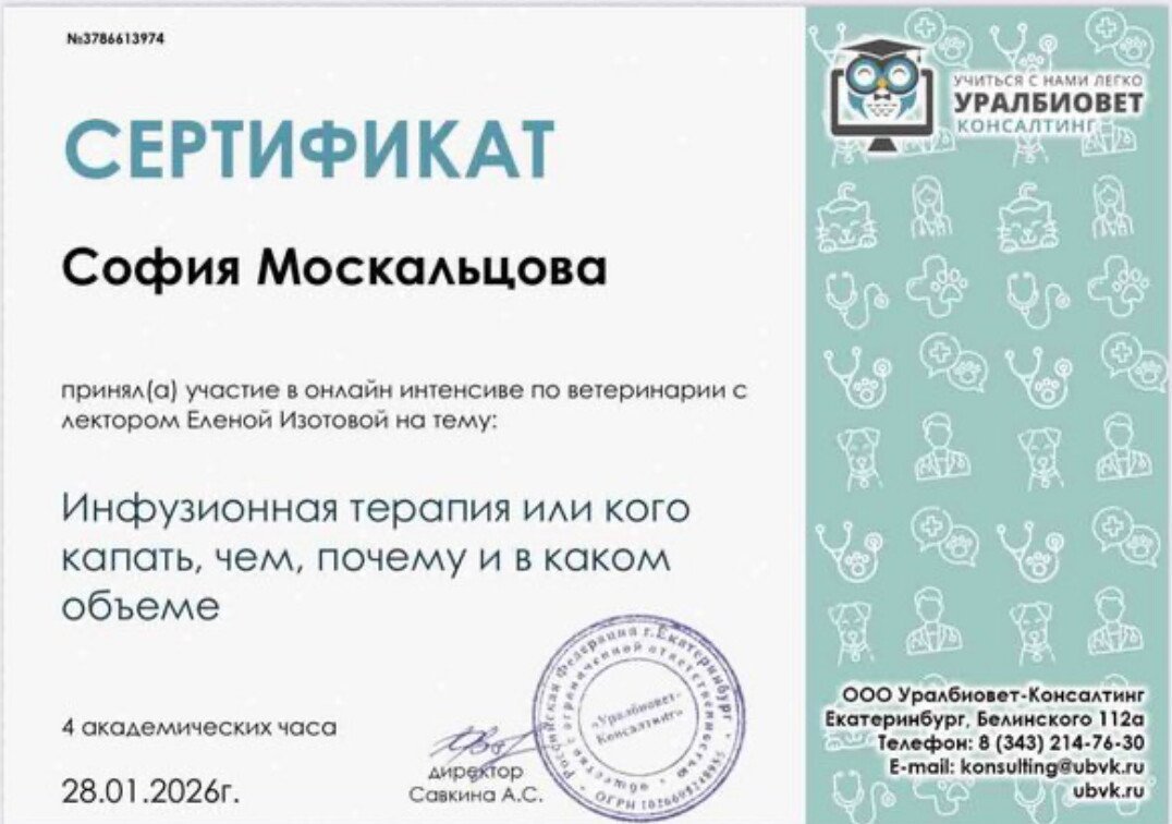Документ или сертификат