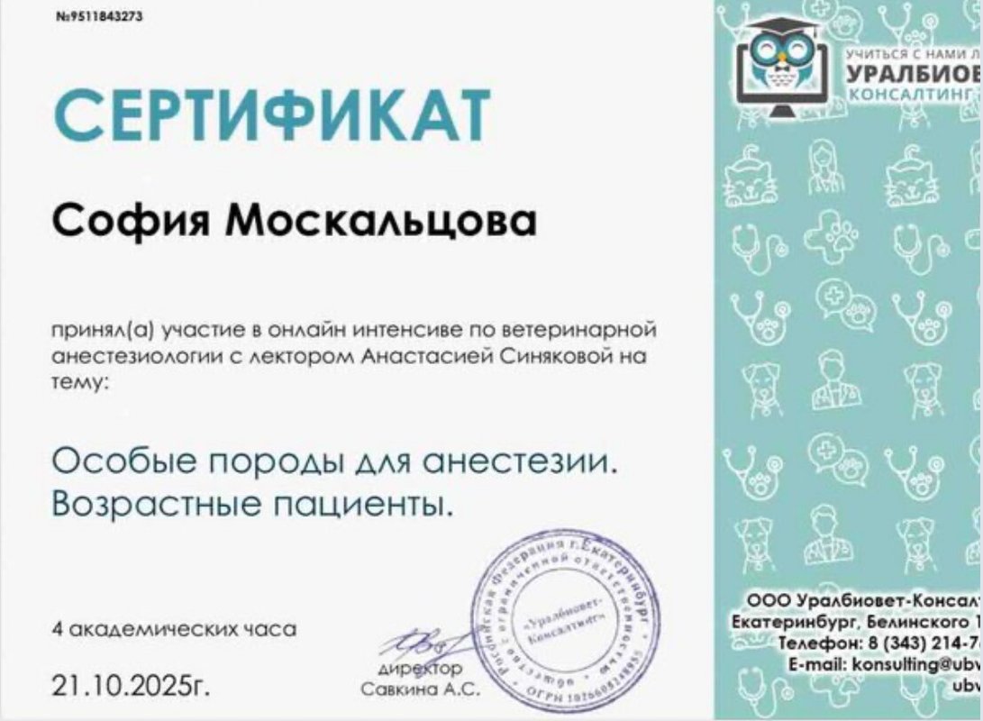 Документ или сертификат