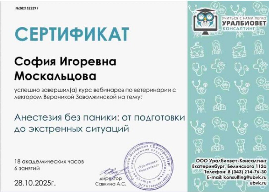 Документ или сертификат
