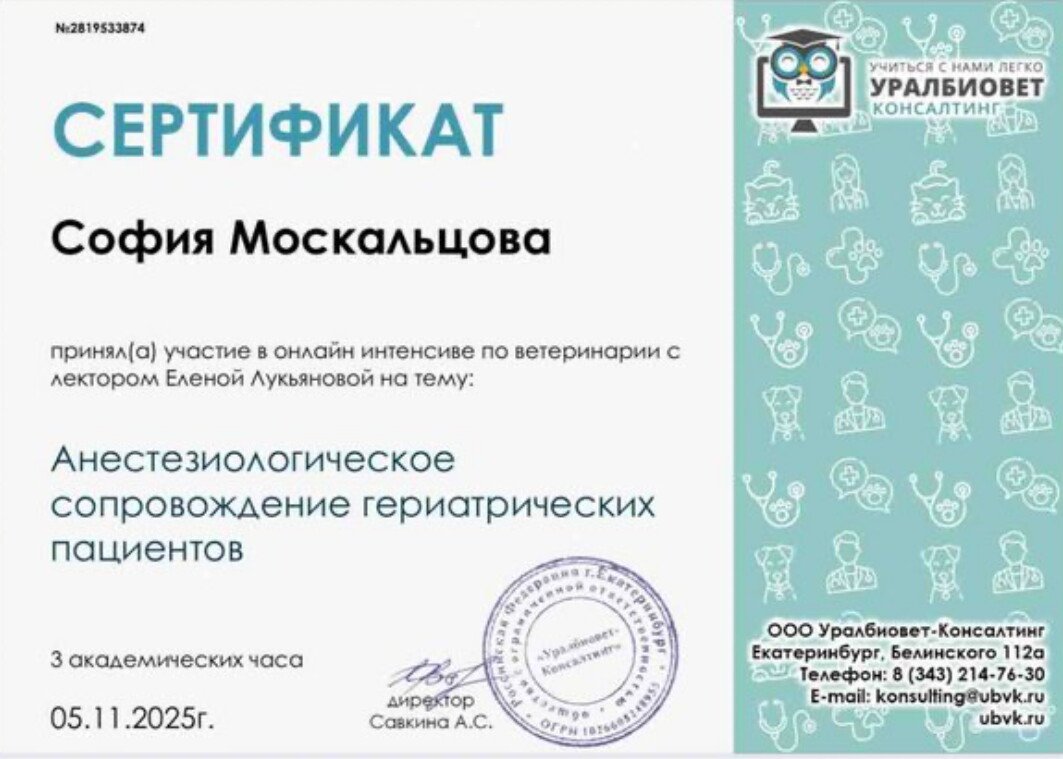 Документ или сертификат