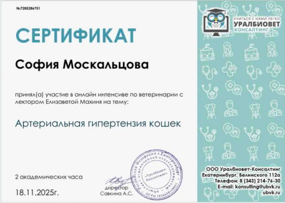 Документ или сертификат