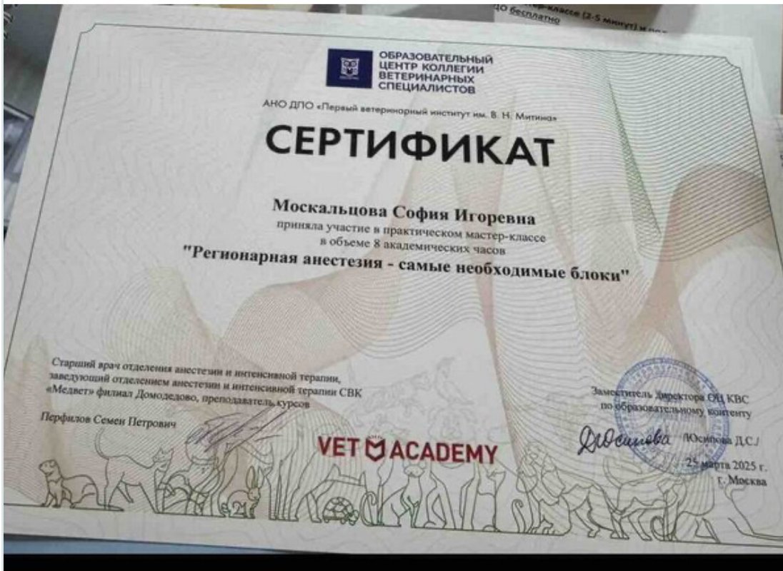 Документ или сертификат