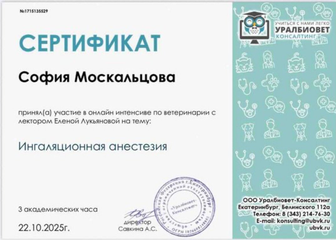 Документ или сертификат
