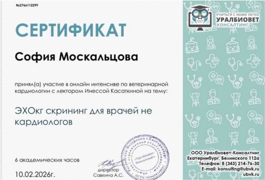 Документ или сертификат