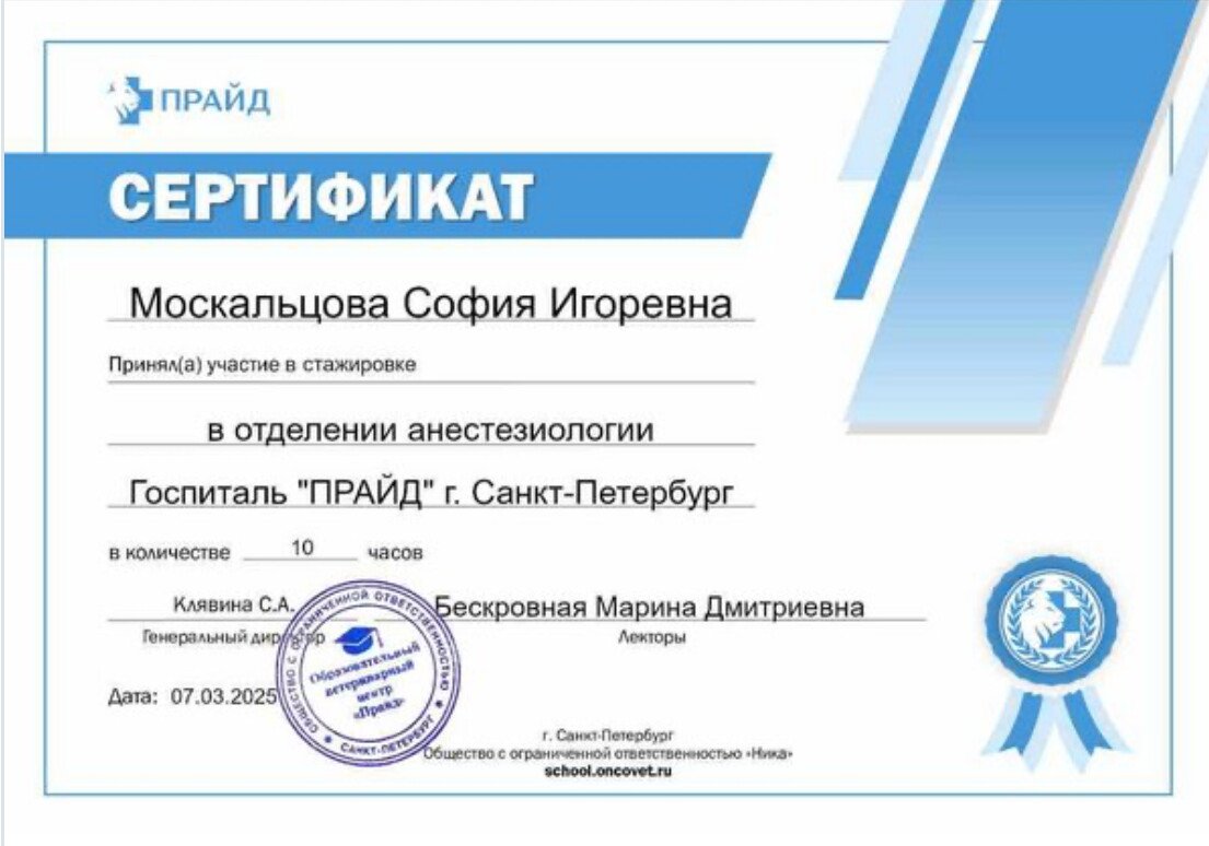 Документ или сертификат