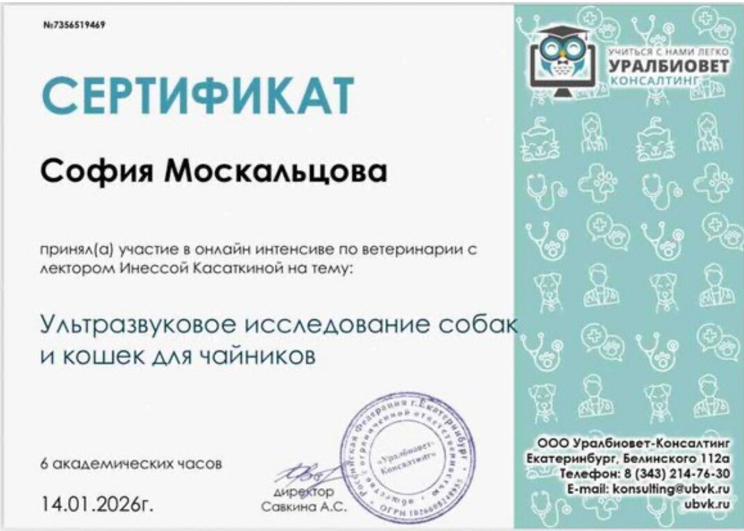 Документ или сертификат